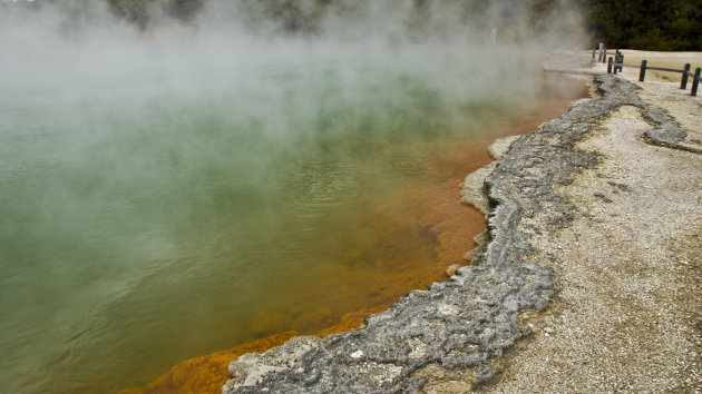 Champagne pool