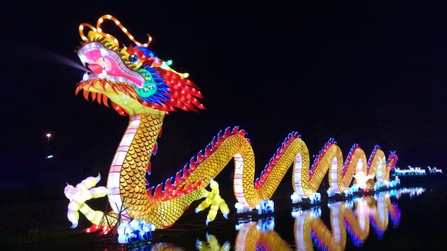 Draak tijdens China Light Festival