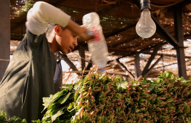 naar de markt in Hurghada