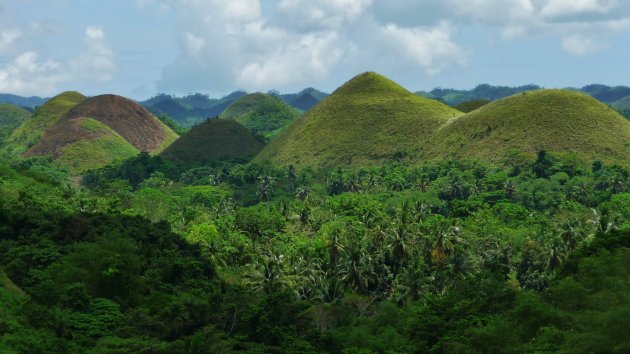 Bohol hills