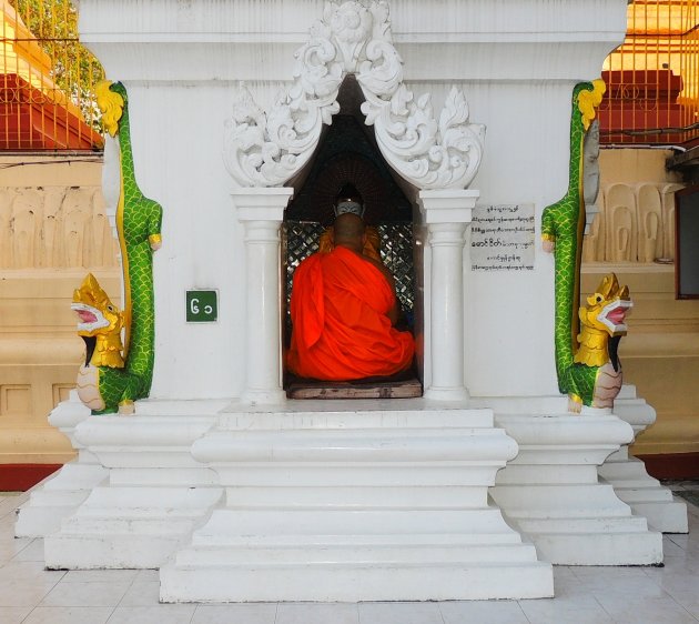 In trance bij de Shwedagon. 