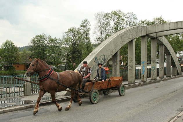 Paard en wagen