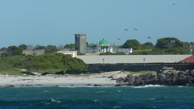 gevangen op Robbeneiland