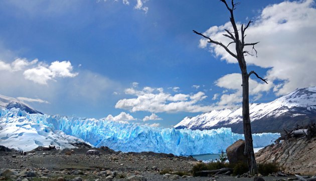 Ochtendlicht op Perito Moreno
