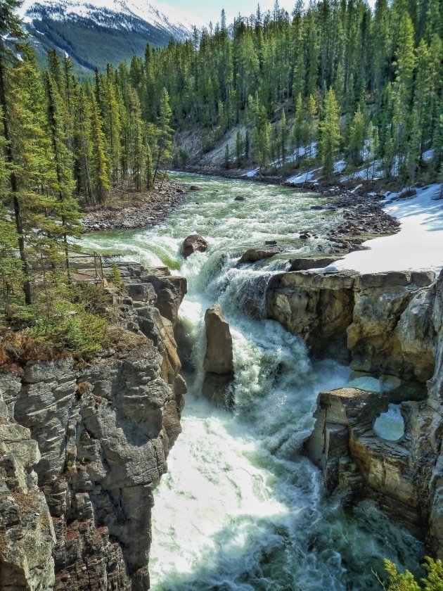 Sunwapta   Falls