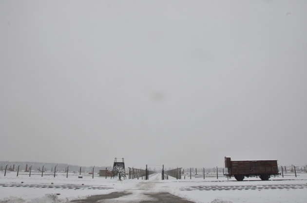 Birkenau: Onbeschrijfelijk groot en wreed