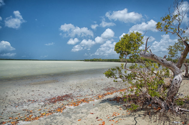 Watamu Marine National Park and Reserve