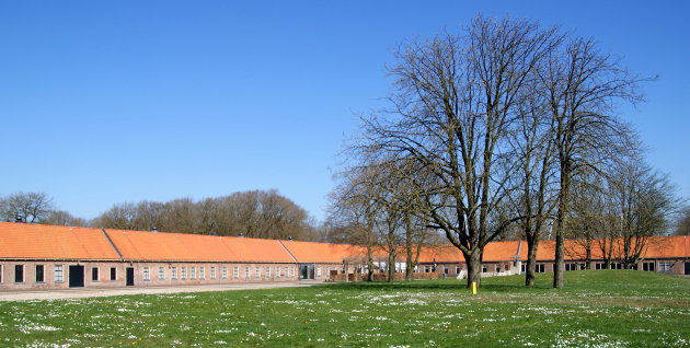  dwangkolonie