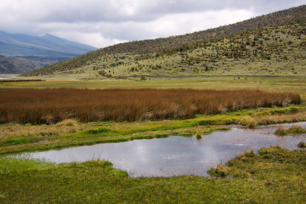 Cotopaxi NP