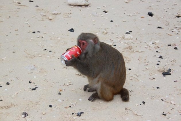 Lekker blikje cola