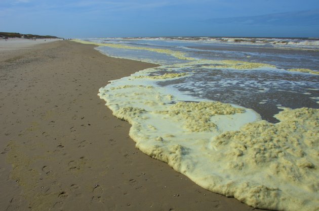 Uitwaaien op Texel