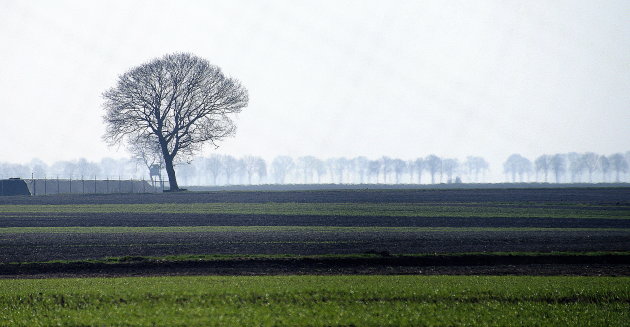 kaal landschap