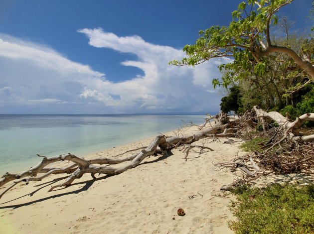 deserted beach