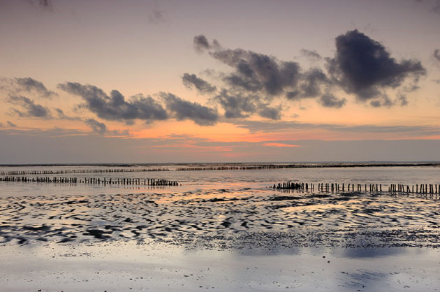 Het Wad in pastel