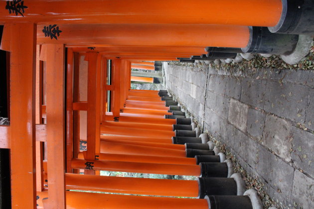 Fushimi-Inari-Taisha Shrine 