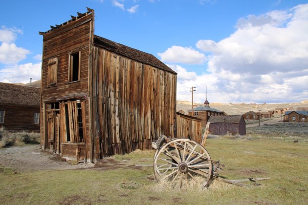 Bodie in kleur