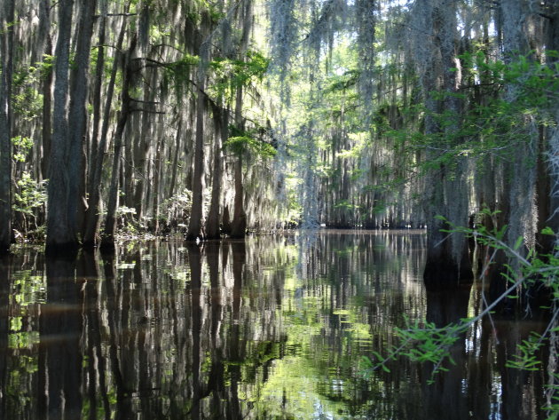 Caddo Lake