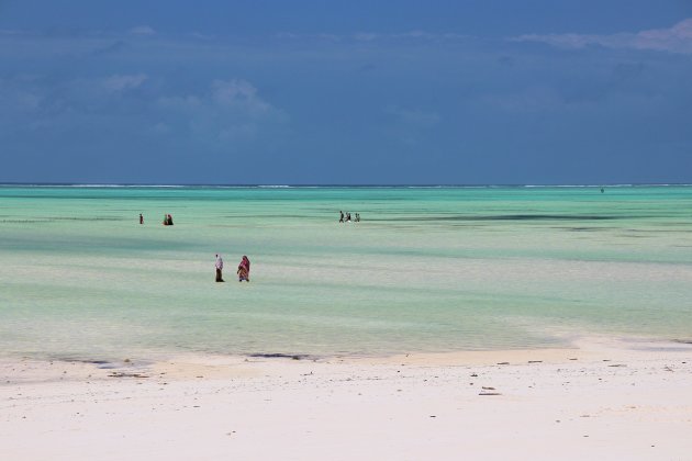 Zanzibar blue