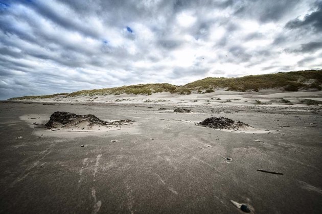 Vlieland Beach#2