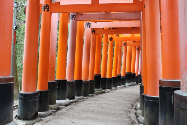 Fushimi-Inari-Taisha Shrine 