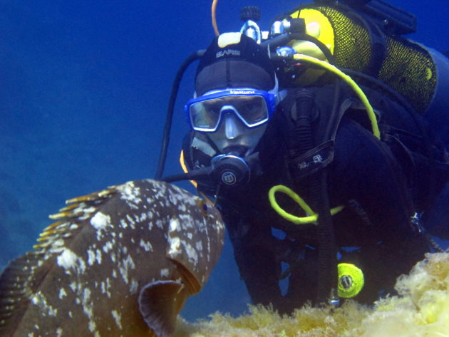 Port-Cros, close encounters met een tandbaars