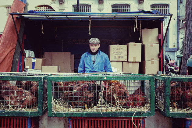 Vogelenmarkt