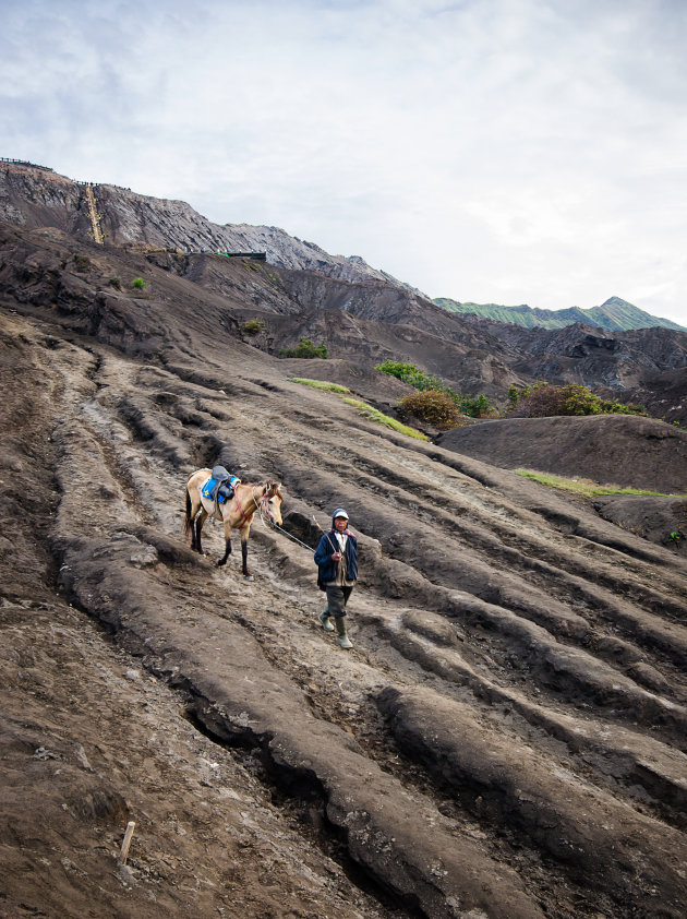 Man met pony bij Bromo