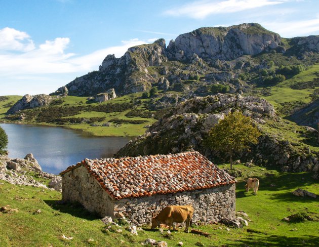 Picos de Europa 