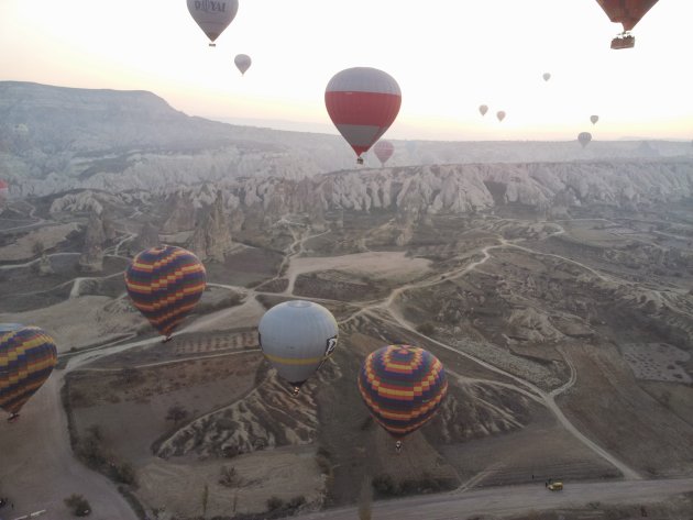 Heel veel ballonnen in de lucht