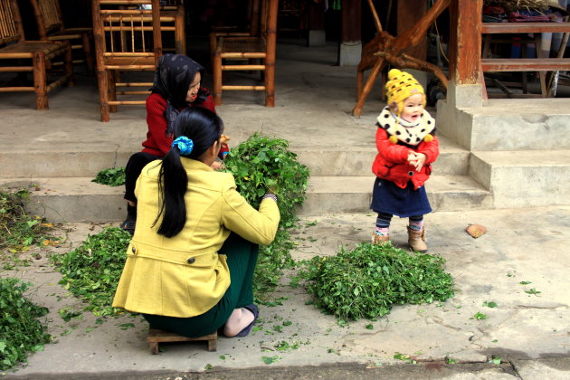 Mai Chau