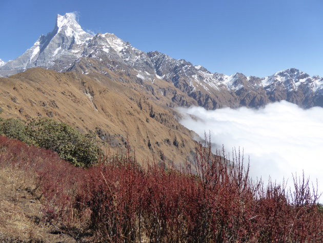 Mardi Himal Trekking; Super gids!
