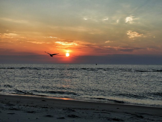 Ondergaande zon Texel