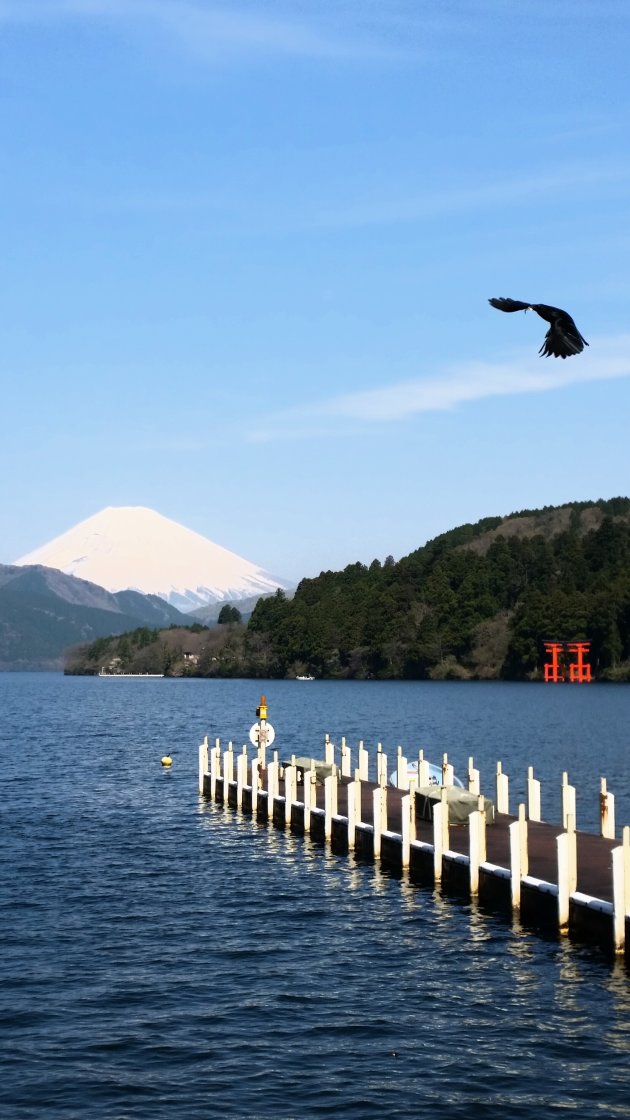 Uitzicht op Mt. Fuji