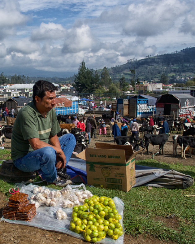 Veemarkt Otavalo 