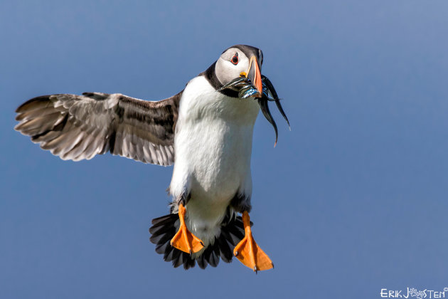 Klaar voor de landing