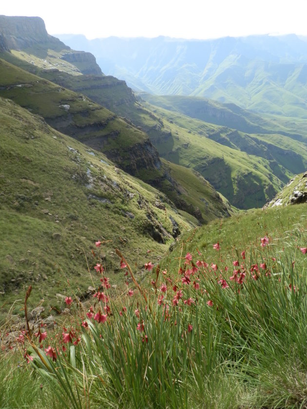 Noord-Drakensberg