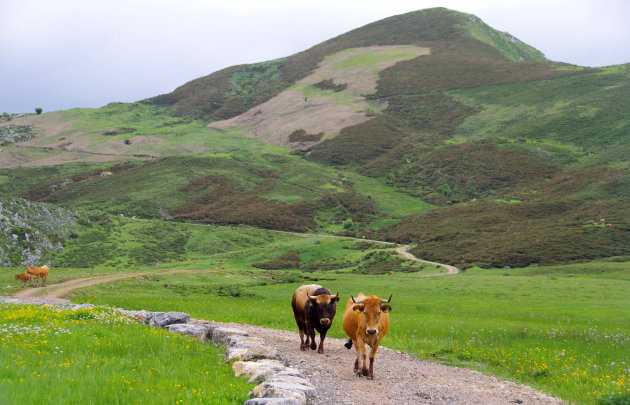 Gezellig wandelen