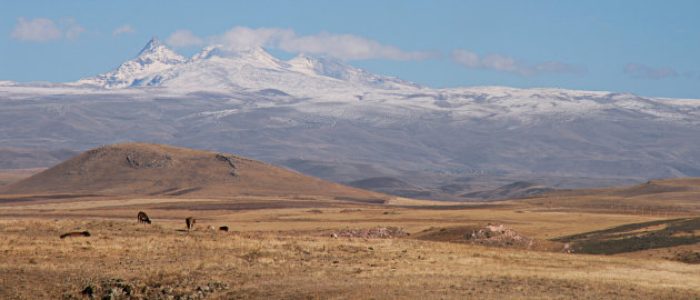 Landschap Ani