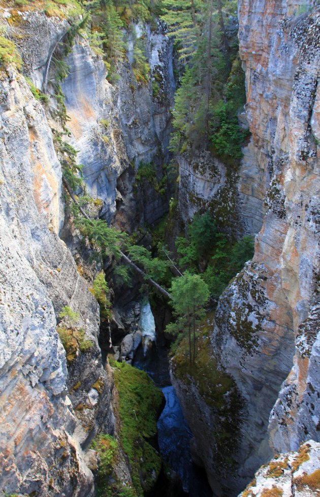 Maligne Canyon