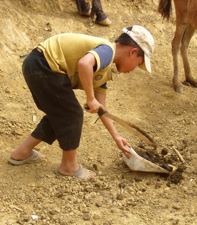 Paardenmarkt in Bac-Ha