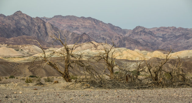 Mesquita Sand Dunes