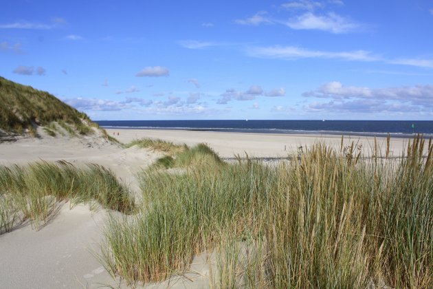 stranddag