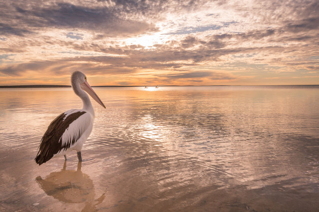 Enjoying the sunset