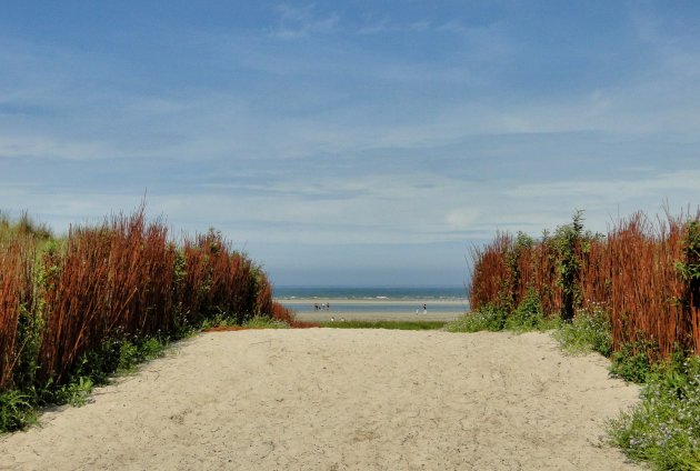 Schiermonnikoog