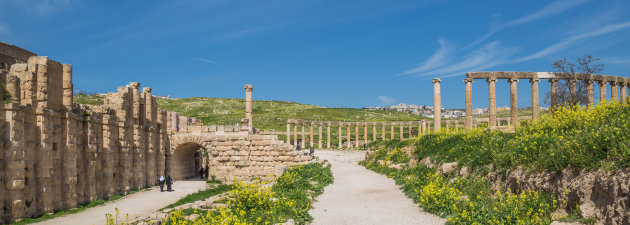 View jerash