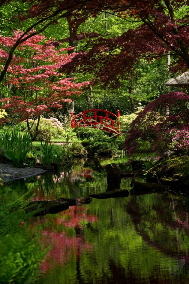 Japanse tuin in Nederland 