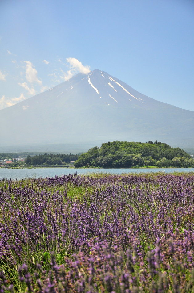 Mount Fuij