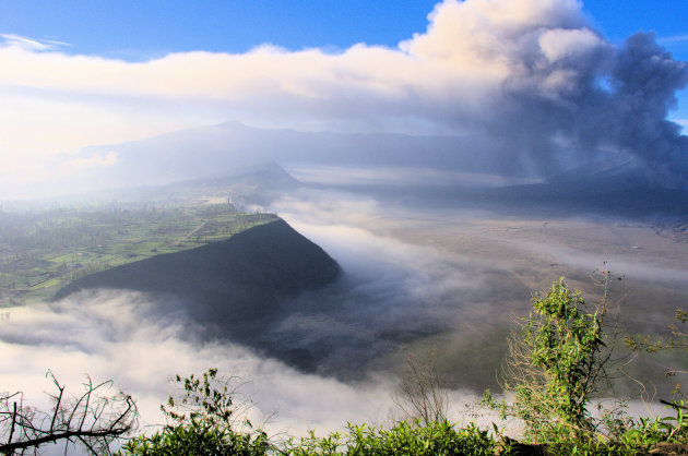 Bromo