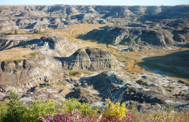 Horse Shoe Canyon