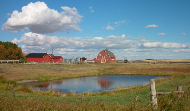 Op de Prairie